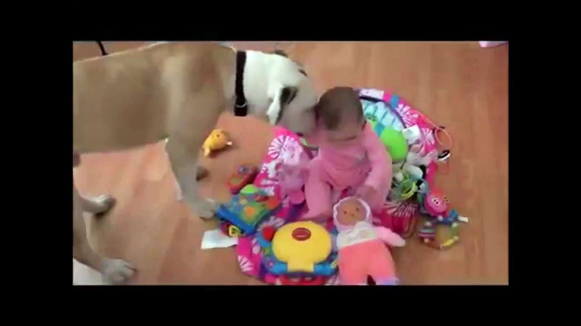 ⁣дети и животные*** Kids & Pets