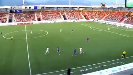 Blerim Dzemaili goal | Switzerland 1-0 Liechtenstein 10/06/2016