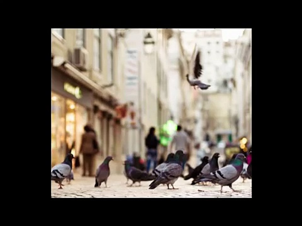 دعوني دعوني أناجي حبيبي / ابراهيم دردساوي