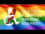 Marche Des FIERTES LGBTQPet des diversités LILLE FRANCE  6 juin 2015