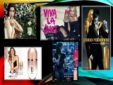 Perfumes Originales para Negocio