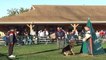 2008 USA GSD National Championship