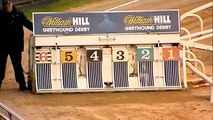 ROUND 1 - HEAT 28 - 2015 WILLIAM HILL GREYHOUND DERBY