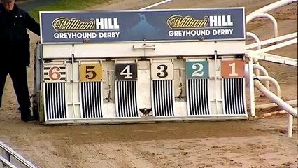 ROUND 1 - HEAT 26 - 2015 WILLIAM HILL GREYHOUND DERBY