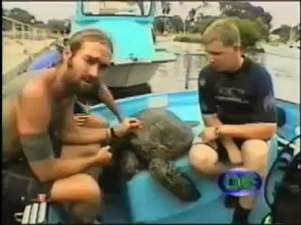 Deep Ecology Hawaii - 'Making a Difference' - Ken O'Keefe