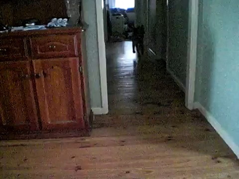 testing. (Blind Myron)