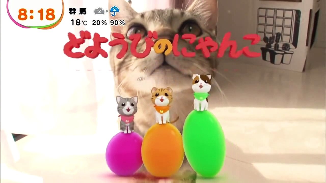 どようびのにゃんこ　ミラ