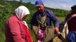Expeditionen ins Tierreich - Bulgarien: Rosenernte