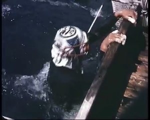 Pearl diving and children in Japan 1960 昭和の日本