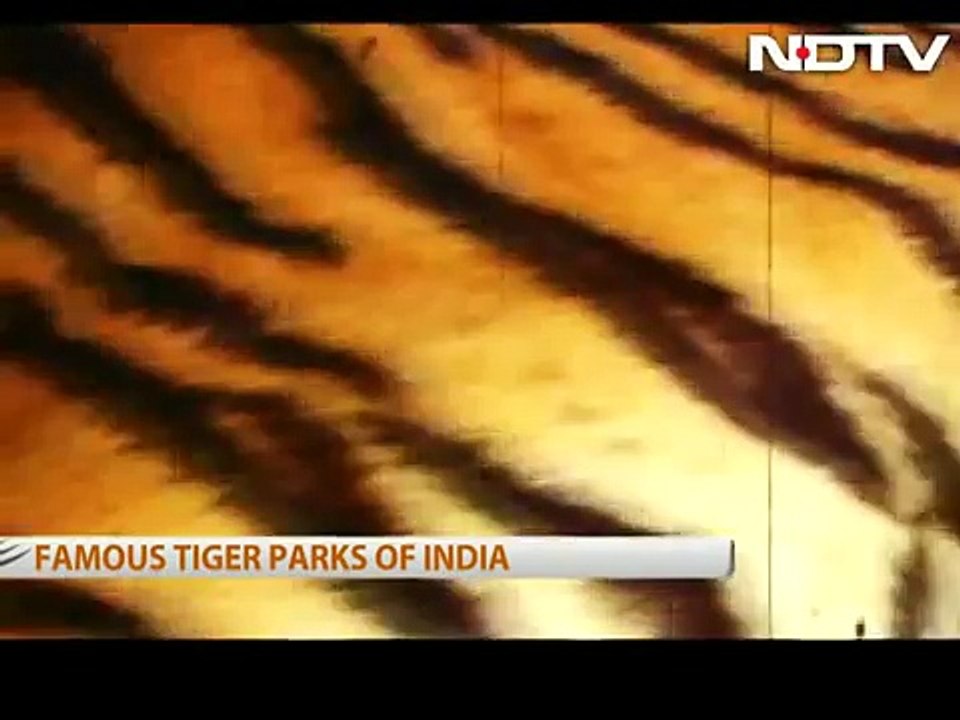 The Sariska story
