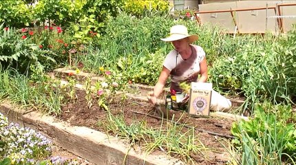 Nutritious Gardening : How to Grow Butternut Squash