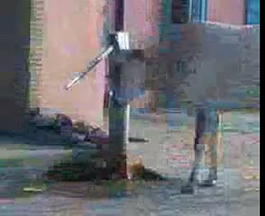 Smart Cow