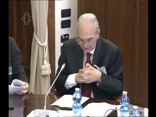 Roma - Audizione rappresentanti R.ETE. Imprese italia (09.06.15)