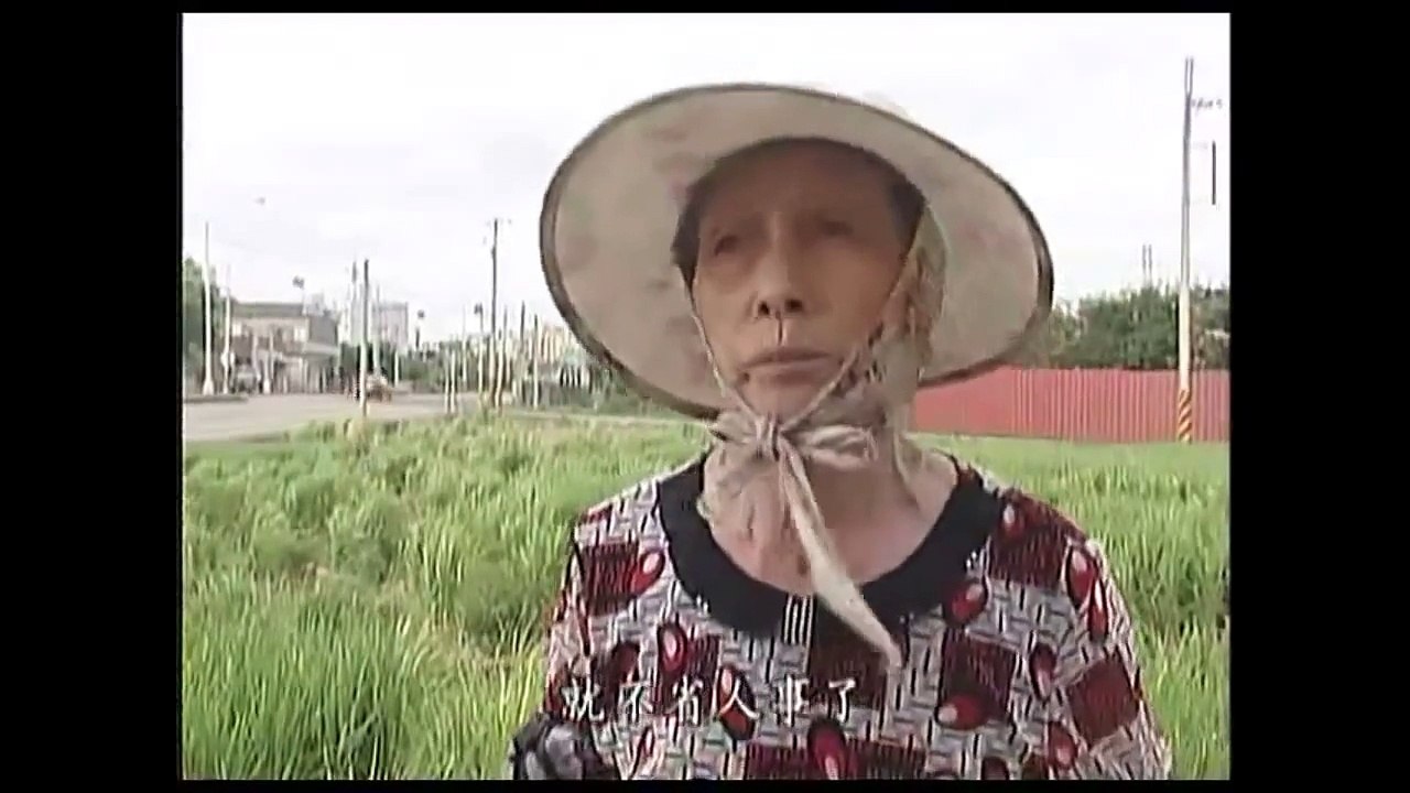 太陽底下沒有新鮮事：苗栗大埔事件抄襲電影阿凡達