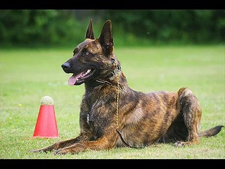 x HH Twix, Best of Dietenhofen 2010.wmv