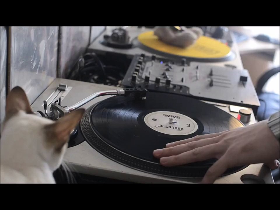 Phono 41 - pussy scratch