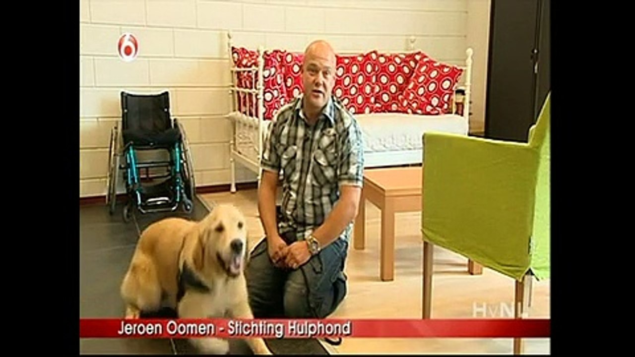 Hulphond Nederland - Hart van Nederland