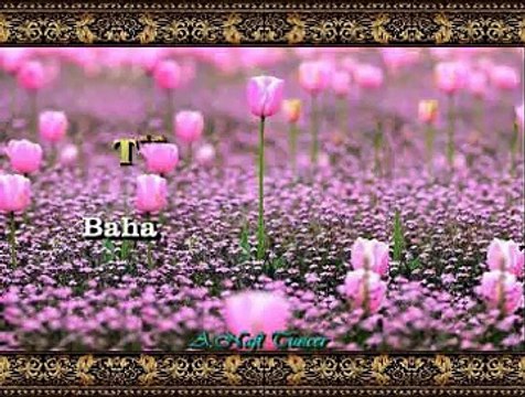 TRT TSM KORO *Bahar Pembe Beyaz Olur Güzeller Neş’eli Olur*