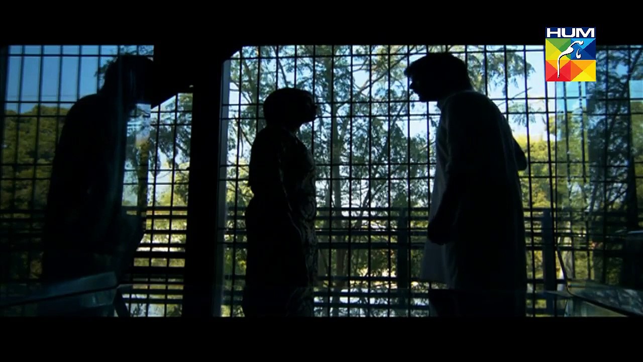 Alvida Episode 18 Full HUM TV Drama 10 June 2015