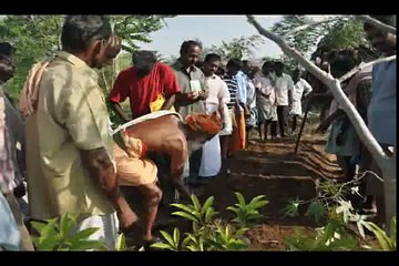 Vanagam Nammalvar Ecological Foundation.wmv