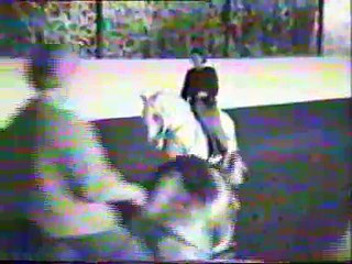 Amazone Fra Meliton manège Nuno Oliveira par Christine Hugon