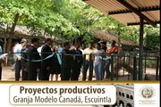 Proyectos productivos, Granja Modelo Canadá, Escuintla