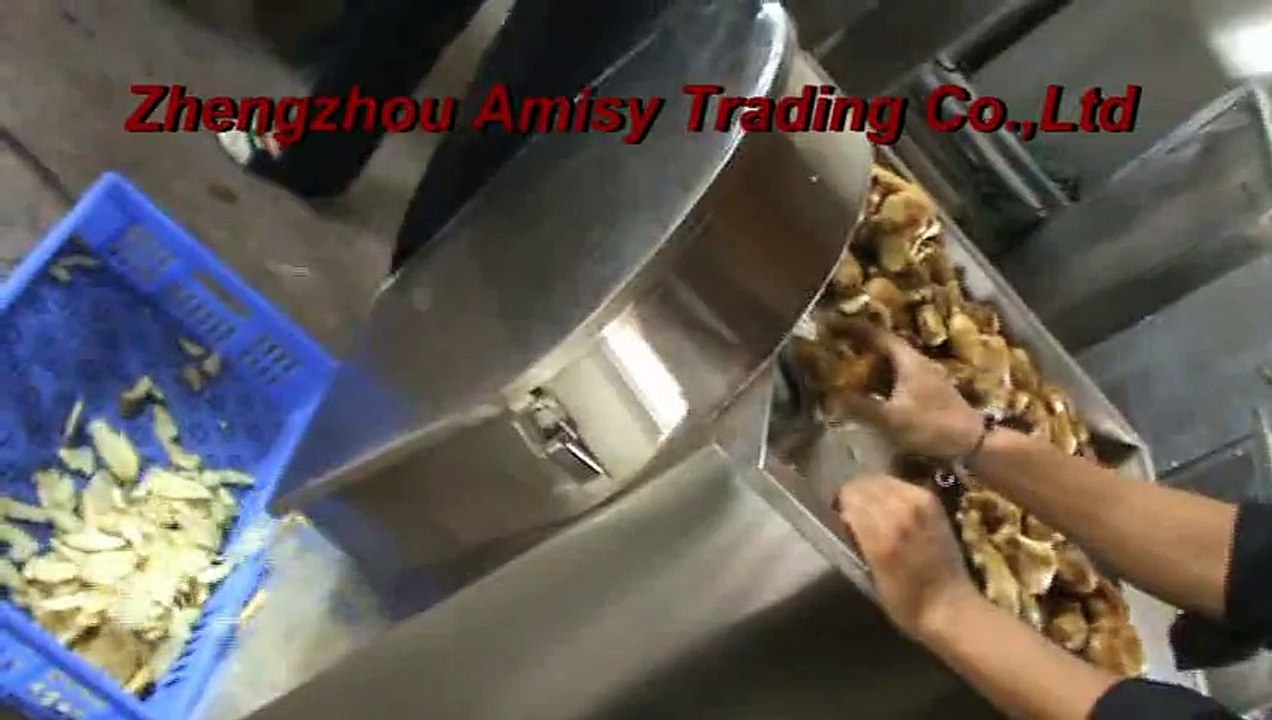 Ginger Slicing Machine, Ginger Cutting Machine, Vegetable Slicer