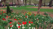 Tompkins Square Park Riot