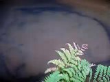 Areia Movediça - Gruta do Catão - Lagoa Azul - São Desidério