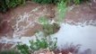 Havasu Falls Flash Flood Grand Canyon