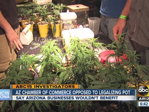 Arizona Chamber of Commerce opposed to legalizing pot