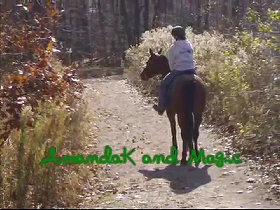 A Fall Ride