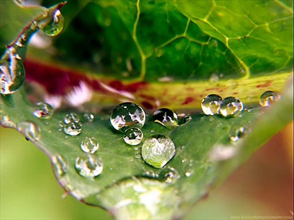 Sometimes when it rains