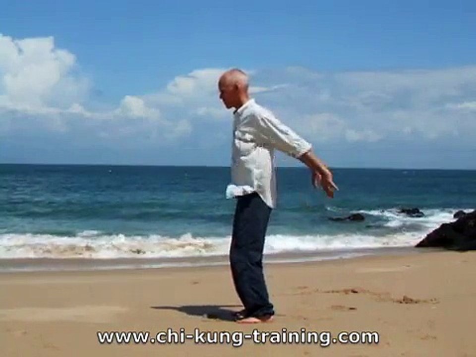 Bos Chi Kung & Parkinson Qigong: arm-zwaai qigong