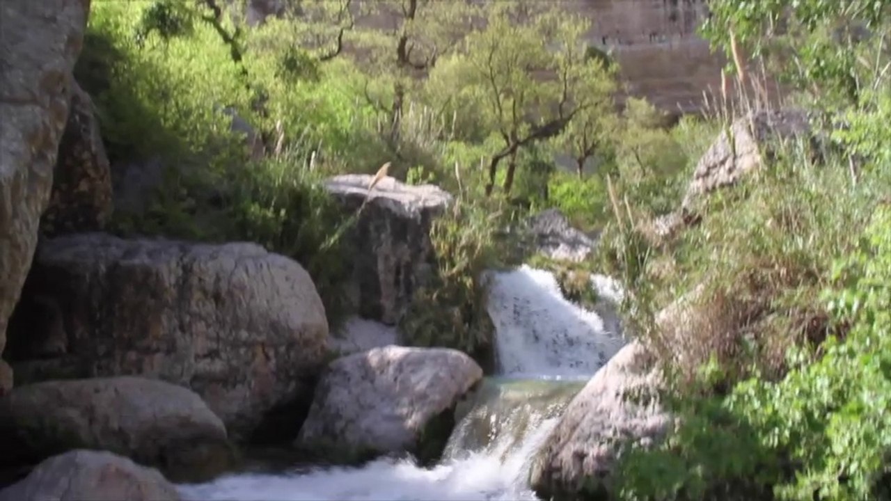 36 minutes Video: DSLR 7d Camera HD Virtual University Walton Road Lahore Trip of Neelawahn stream 4 April 2015 Pakistan