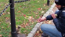 Feeding Squirrels in Battery Park