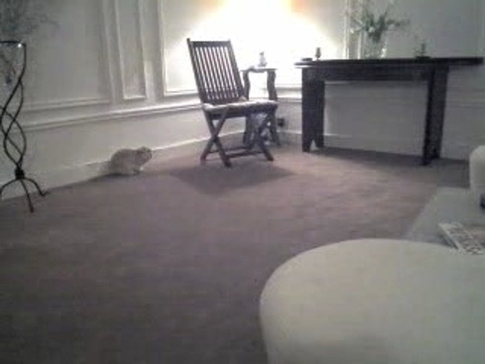 Vidéo - Coup de speed