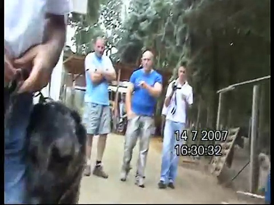 Kangal Ayi Boganlar V