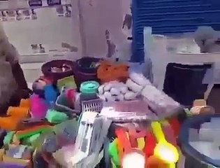 Pakhandi Babea Nu Poojan Waleo Eh Hunde Ne Asli Sikh