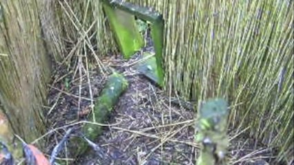 Zu Besuch in einer Entenkooi