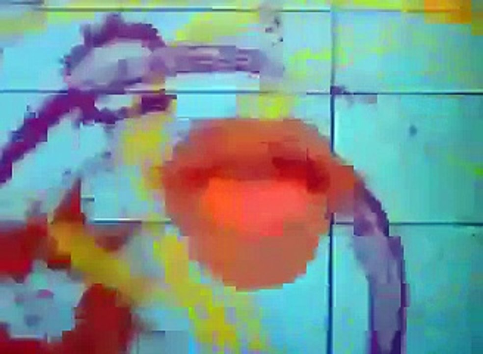 Donald Duck Cartoon Eps Donald's Dilemma Cartoons for Children Classic Cartoons