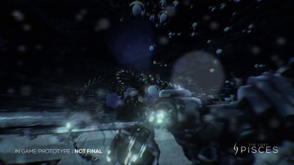 Kickstarter - The Lost Pisces - Gameplay Prototype