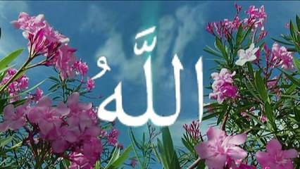 allah miracles ان عجزت عن الكلام فقط قل سبحان الله