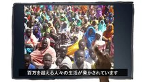2013年　今こそスーダンに人道支援を