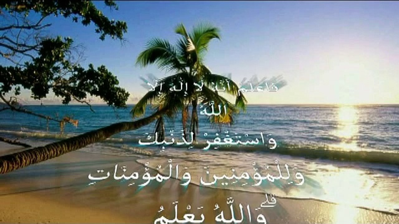 miracle d'Allah dans l'univers معجزة الله في الكون