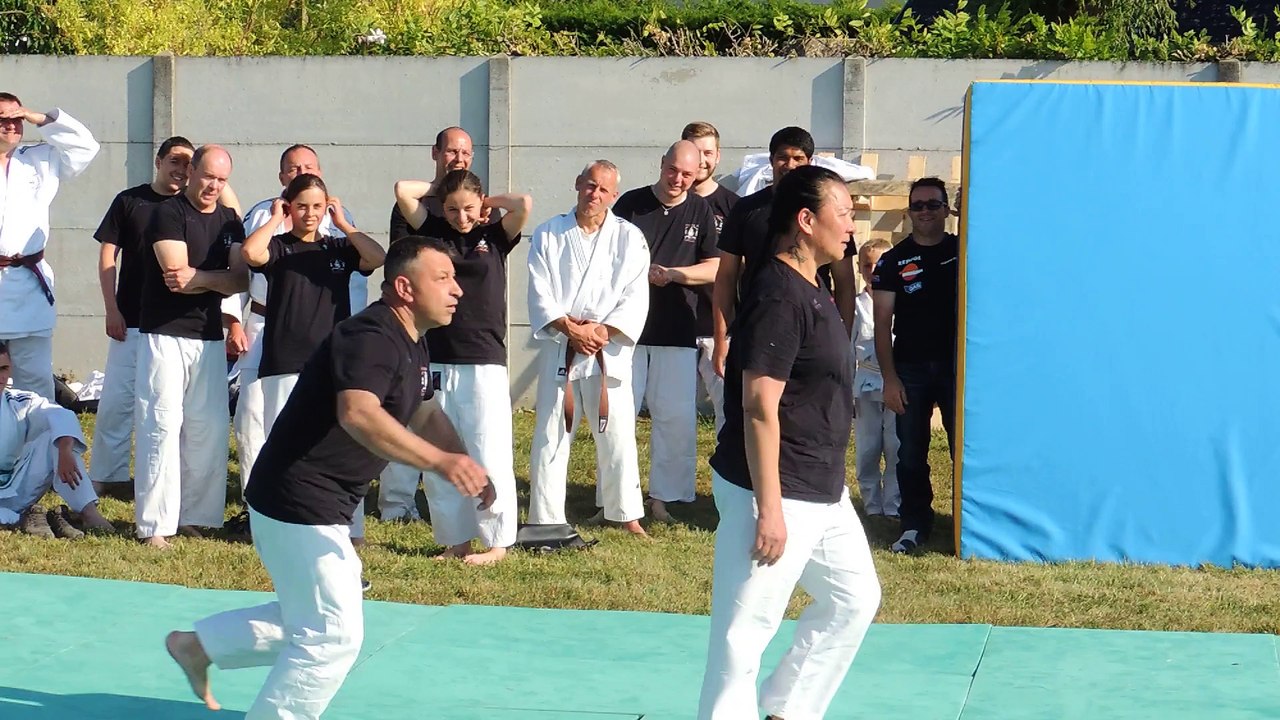 Jujitsu Rollin Philippe