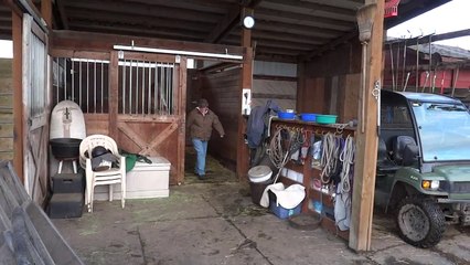 Rudy Video with Pat Wagner, Rainier WA