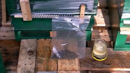 Bienen Reanimation 23.11.12