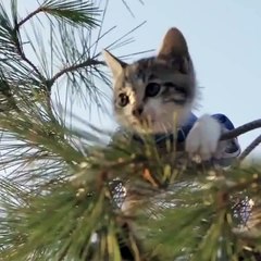 ЧТО ЭТО БЫЛО ?