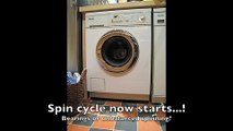 Miele W919 WPS spin cycle
